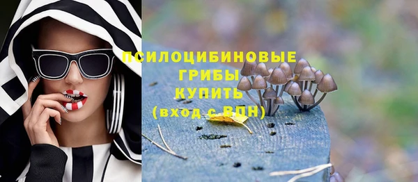 ECSTASY Покров